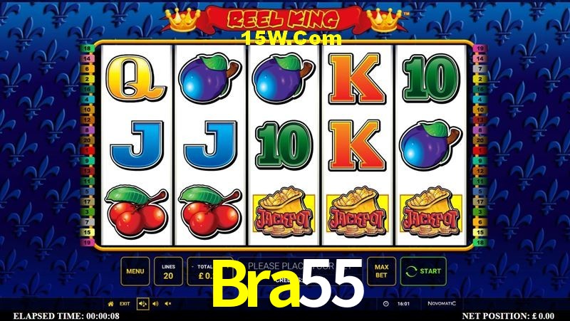 Game Providers Bra55