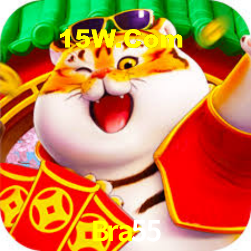 Bra 55 Slots
