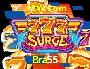 Segurança 2FA Bra55